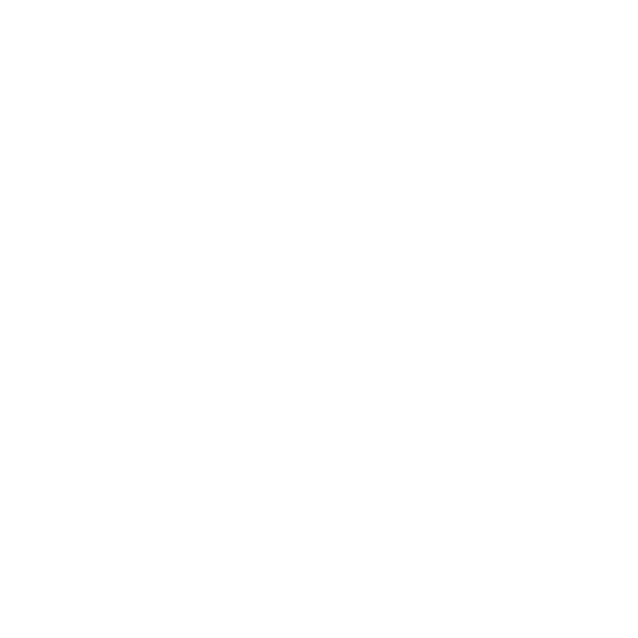 SNM (2)