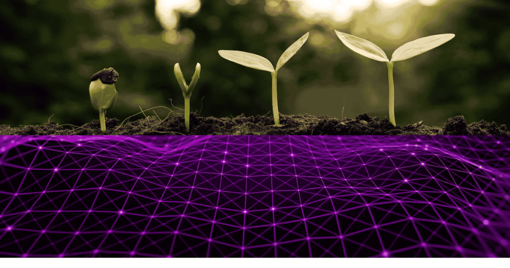 Sustainable Growth